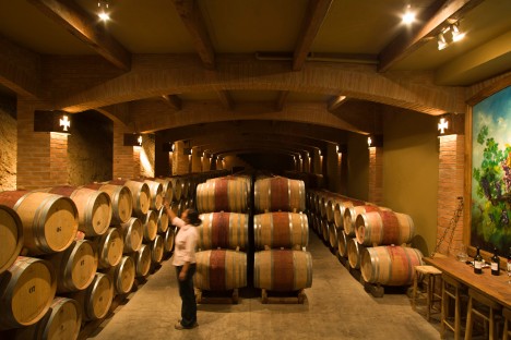 El vino chileno Fuente: AFP/East News.