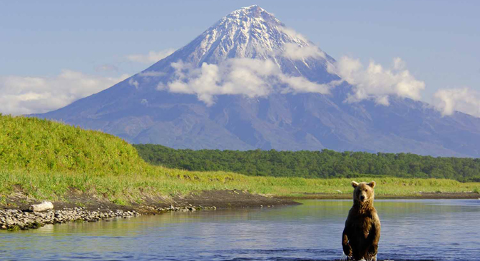 Los volcanes y los osos son comunes en esta región salvaje. Fuente: Ígor Shpilenok
