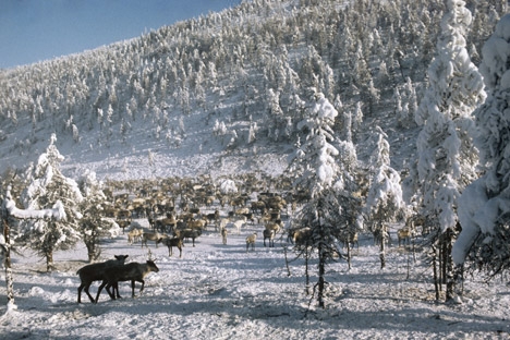 Oïmiakon est considéré comme l’un des endroits les plus froids sur terre. Crédit photo : RIA Novosti