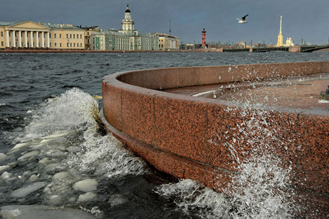 Traitement de l’eau de la Néva : les écrevisses veillent ! Crédit photo : Alexandre Petrosyan / Focuspictures