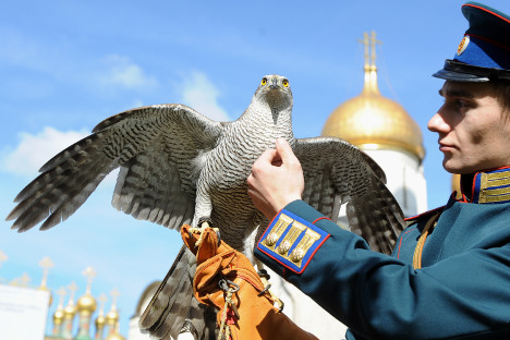 Kremaljski sokolar i njegova ptica čuvaju zlatne kupole Moskovskog kremlja (u pozadini) od vrana. Izvor: ITAR-TASS.
