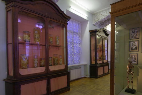 „Prve prirodnjačke zbirke Kunstkamere” u Sankt-Peterburgu, prva ruska muzejska i znanstvena zbirka. Izvor: Kultura.fr