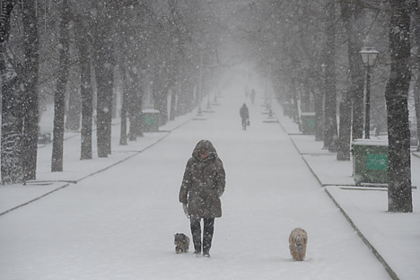 Hujan salju turun cukup lebat pada bulan Maret lalu di Moskow. Foto: Artem Zhitenev/RIA Novosti