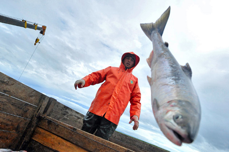 The Peoples of the North fishing crew catching fish on the Opala Rive, Kamchatka Territory. Source: RIA Novosti / Alexey Kudenko