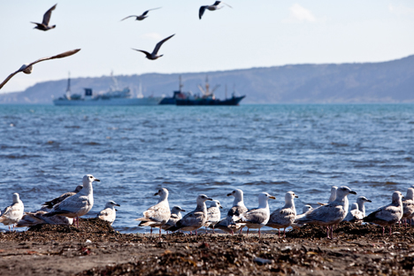 The Kuril Islands. Source: Press Photo