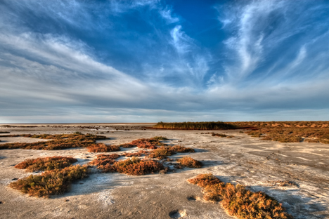Lake Elton. Source: Lori