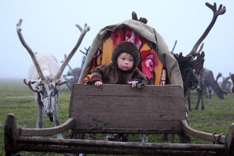 Wherever reindeer go, the herders follow / Lori, Legion Media