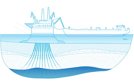 The outline of the Prirazlomnaya oil platform. Source: Gazprom's official web-site