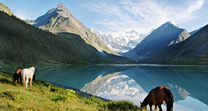 Morning in the Altai Mountains. Source: Shutterstock