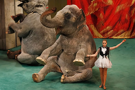 Durov’s Corner is one of the few theaters in the world where animals perform on stage alongside humans. Source: Press photo