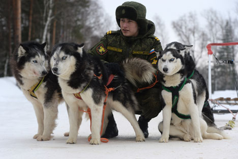 A cadet with Huskies during the military cynologists' training sessions at the Training Center for Service Dog Breeding. Source: Mikhail Voskresenskiy / RIA Novosti