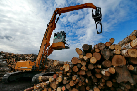 Supplies of Russian timber were reduced to the leading European importers. Source: TASS