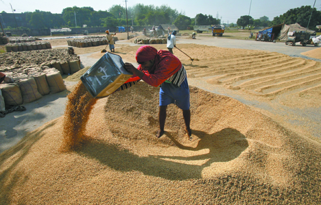 Experts have found out that the isotope processing of agricultural produce significantly increases yields and protects it from destruction. Source: Reuters