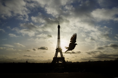 A bird flies in front of the Eiffel Tower ,which remained closed on the first of three days of national mourning, in Paris, Sunday, Nov. 15, 2015.