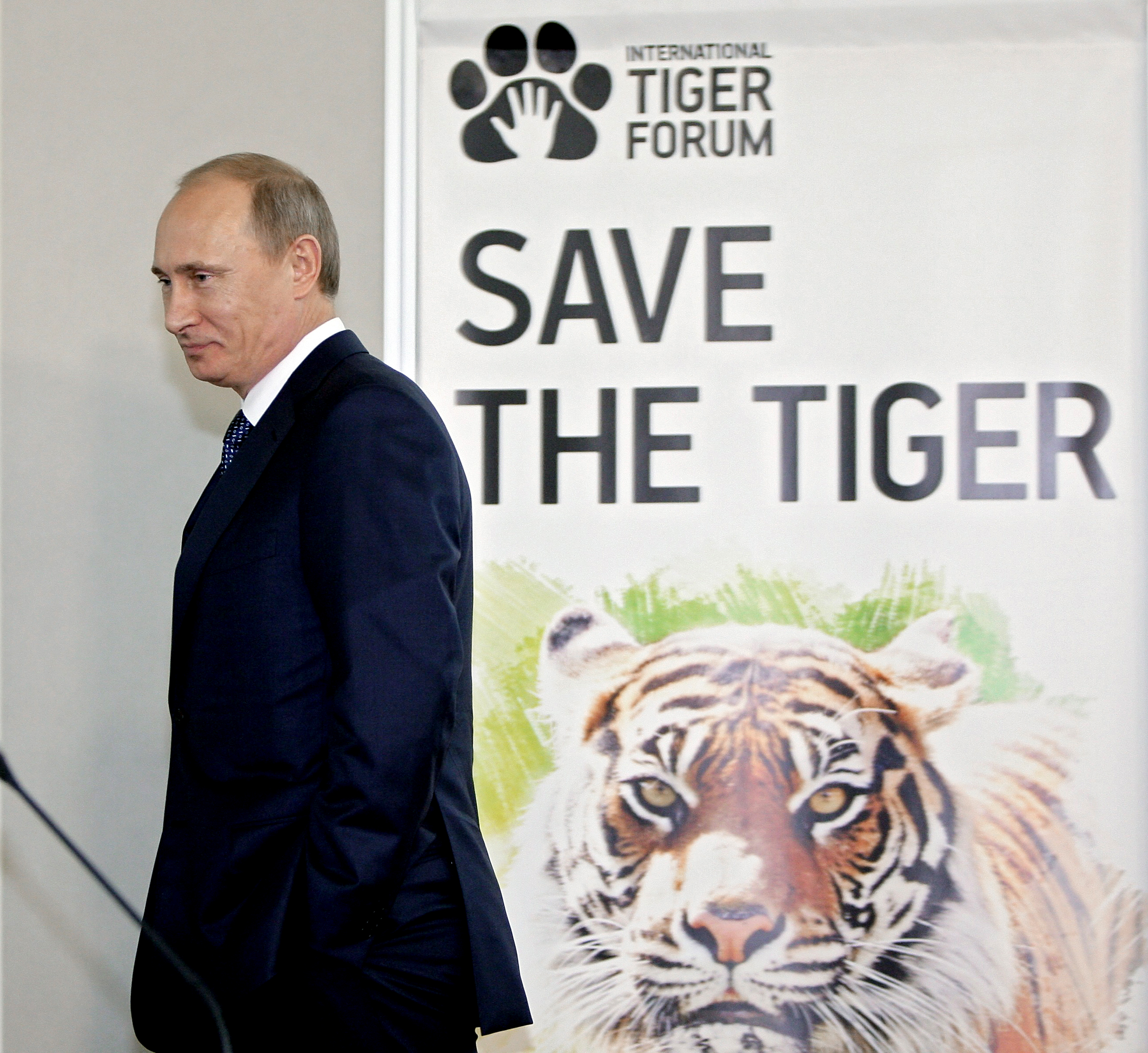 Сохранение тигров. Тигриный саммит 2010 ди Каприо. Леонардо ДИКАПРИО И Амурский тигр.