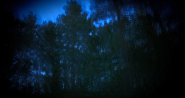 Foto: Angelina Vorobyeva