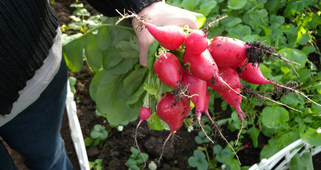 (Foto: ufficio stampa)