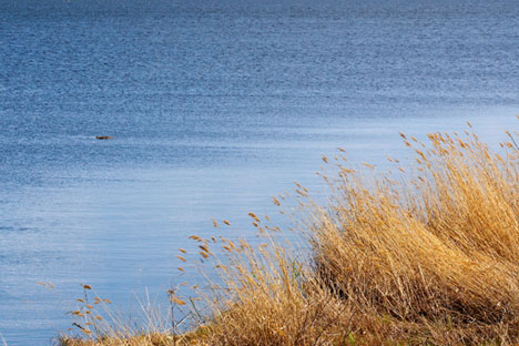 Il lago Chebarkul, a Ovest di Chelyabinsk, dovrebbe custodire il frammento di meteorite caduto dai cieli russi nel febbraio 2013 (Foto: Lori / Legion Media)