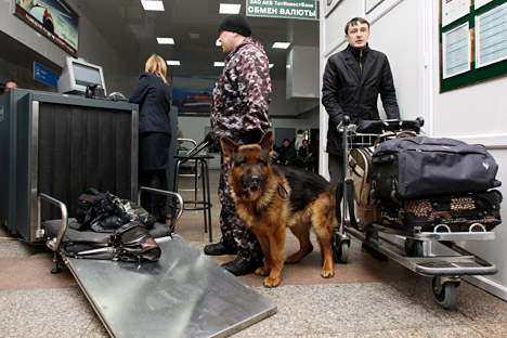 Un pastore tedesco impegnato in controlli alla dogana (Foto: Maksim Bogodvid / RIA Novosti)