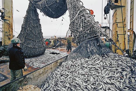 ウラジオストクで4月、「漁業集積」のコンセプトが発表される＝ロシア通信撮影