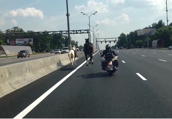 Во меѓувреме во Русија
