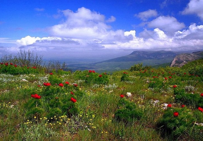 Средба со Русија