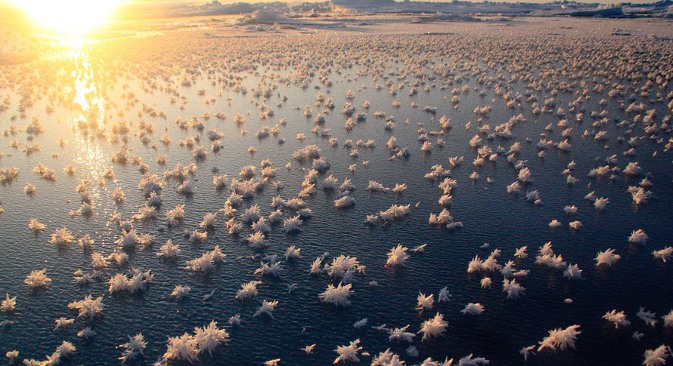 Немогуће је речима исказати буру осећања која вас обузме усред ледених брегова када се пред вама открива читаво поље прозирно-белог цвећа од леда. Фотографија: &copy;&nbsp;Matthias Wietz.