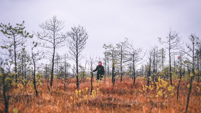 Увязнуть в Васюганском болоте
