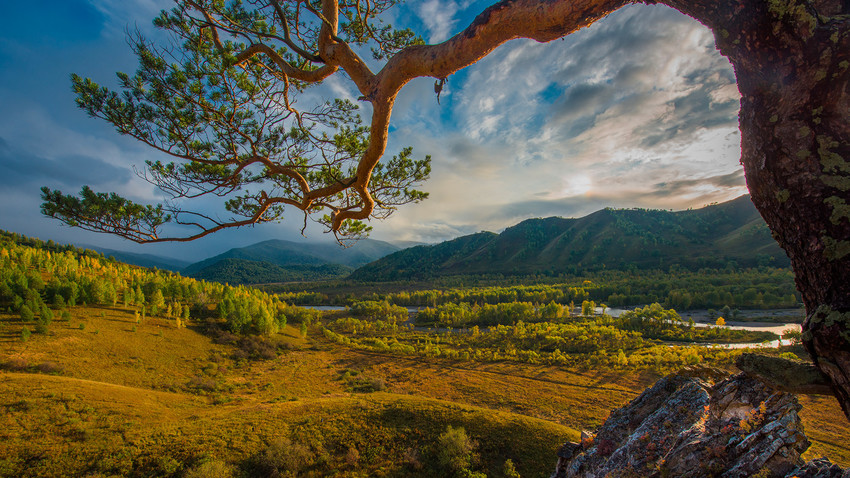 Tigirek reserve, Altai Krai