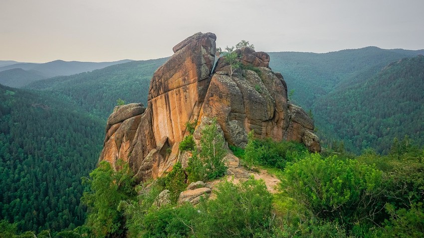 Природный заповедник 