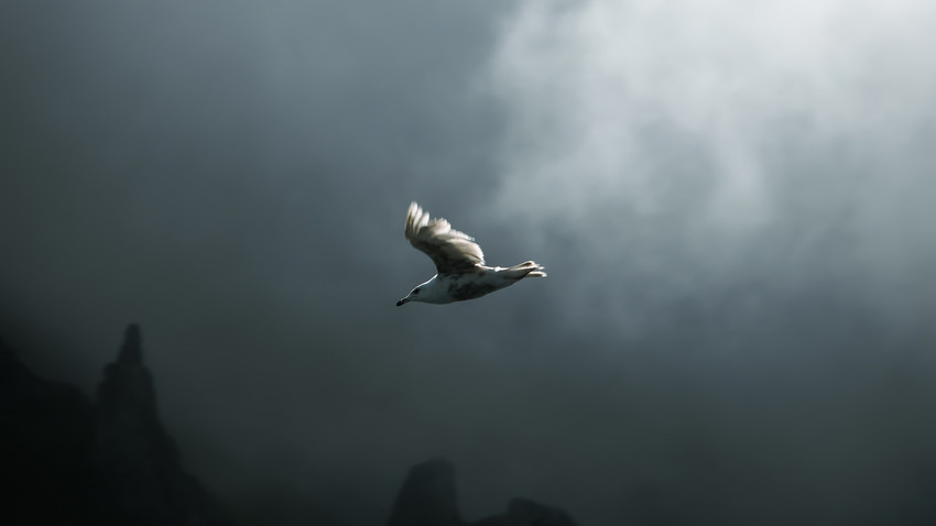 Сделать лучший кадр