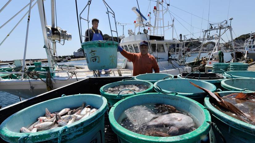 В водах близ Фукусимы обнаружена смертельно опасная рыба