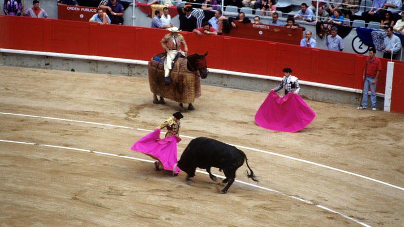 Испанский тореадор заплатит штраф за жестокое обращение с животными