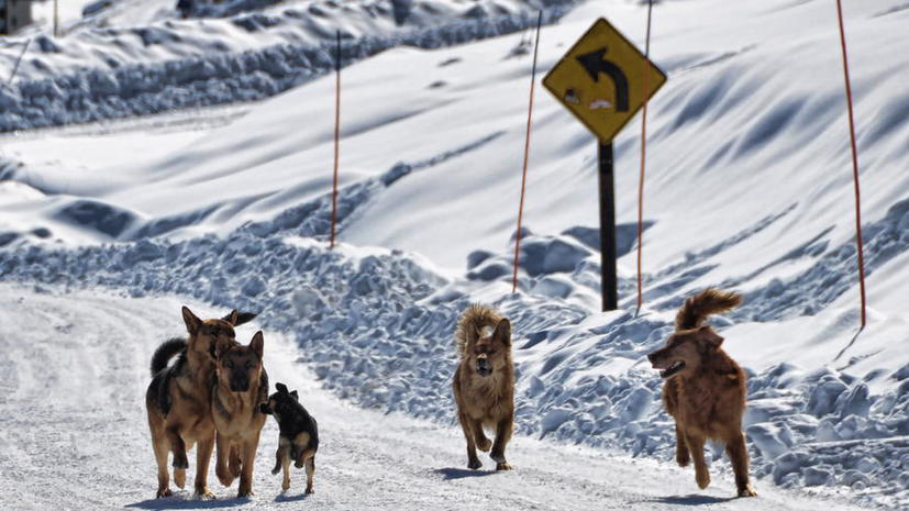15 тыс. туристов застряли в горах между Чили и Аргентиной из-за снегопада