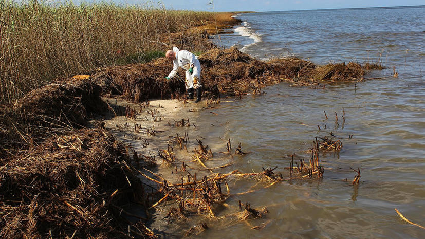 Загрязнение водоёмов США привело к появлению «мёртвых зон», полных токсичными  водорослями