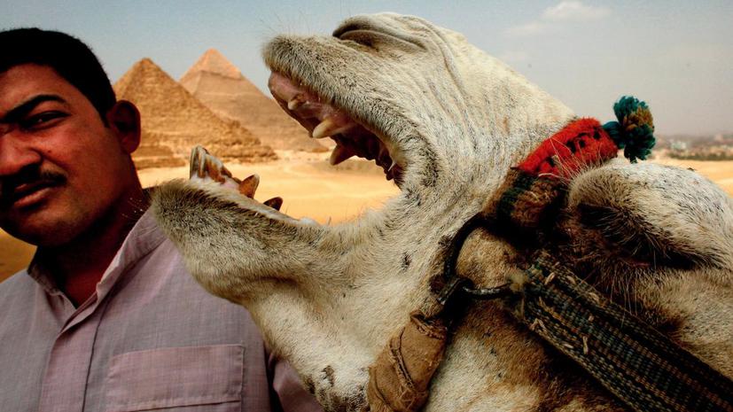 Власти Египта хотят сдать в аренду Сфинкса и пирамиды
