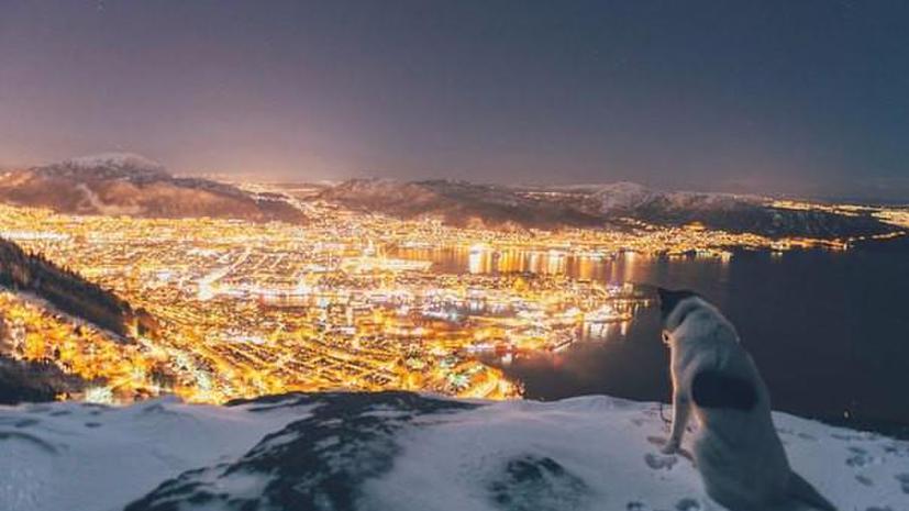 Норвежец, ушедший с работы, чтобы путешествовать со своим хаски, публикует потрясающие фото