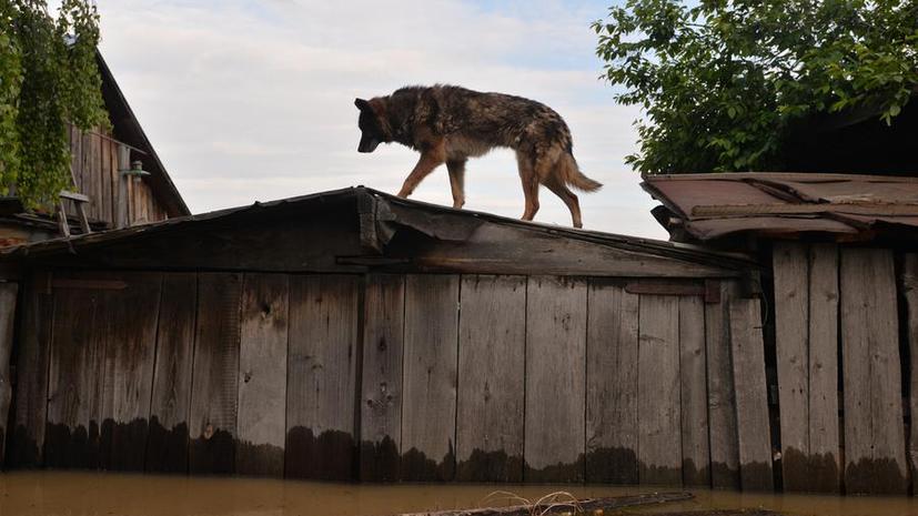 Жители Алтая пришли на выручку пострадавшим от сильного наводнения