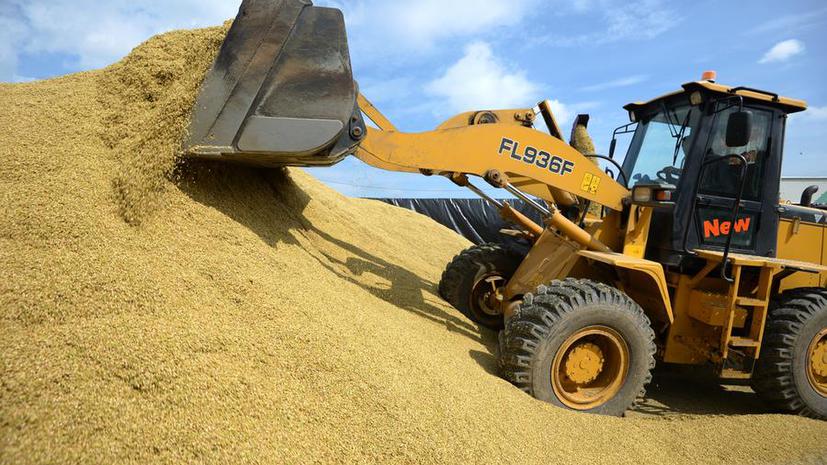 Что-то пошло не так: В госрезерве Украины недосчитались четверти миллиона тонн зерна