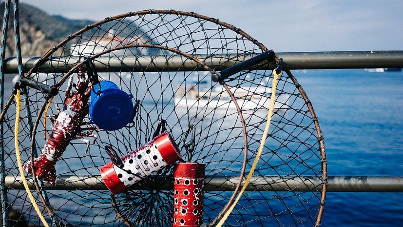 Рыбацкие сети, наркотики и поющий моряк: как подлодки будоражили воображение