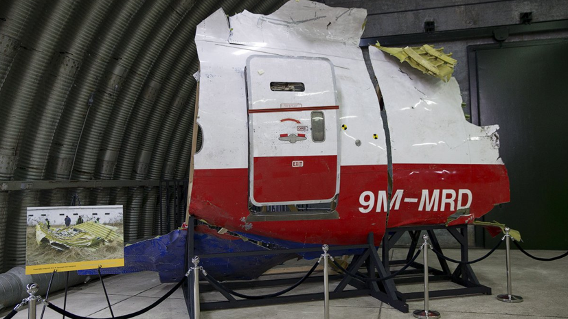 ЕСПЧ начал рассматривать жалобу против Украины по делу о крушении MH 17