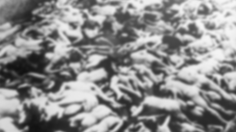 Акционисты убили овцу у Освенцима и голыми сковали себя цепями