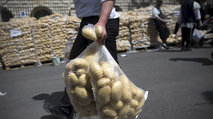 Россельхознадзор проверит качество египетского картофеля перед возобновлением поставок