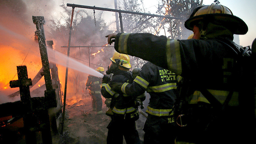 Преступный огонь: причиной мощных лесных пожаров в Израиле могут быть поджоги