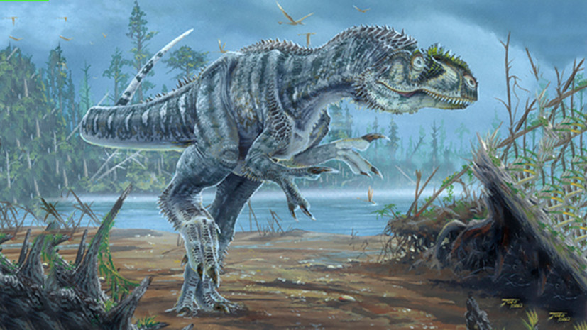 Динозавр с молотка: где продаются скелеты вымерших животных 