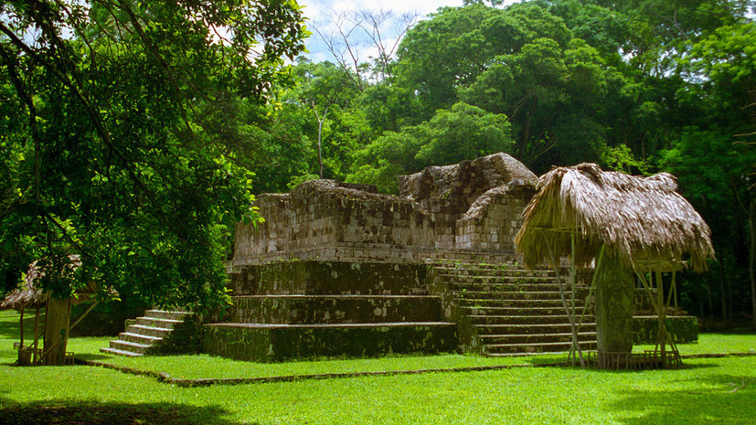 От расцвета до упадка: археологи выясняют хронологию гибели цивилизации майя