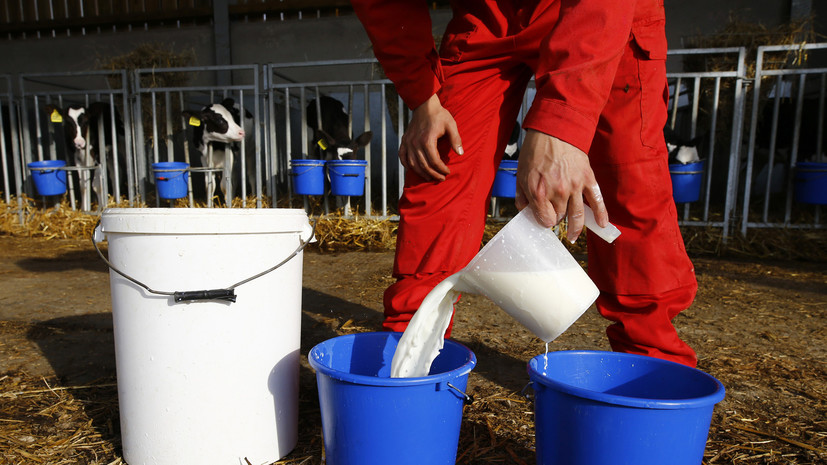 Продукты не для всех: 48% россиян склонны к непереносимости молока