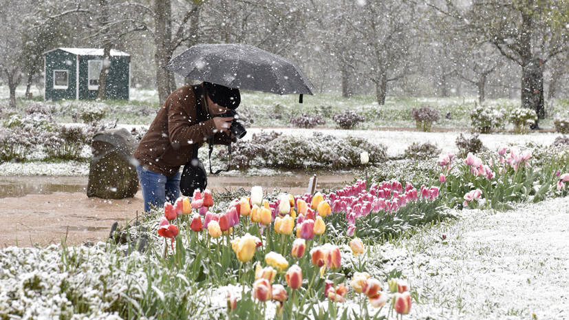 8 и 9 мая в Москве ожидается снег, гололёд и шквалистый ветер