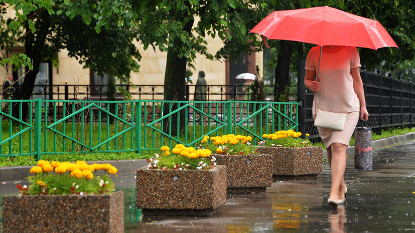 «Лето возвращает нам долги»: как будет меняться погода в Москве на предстоящей неделе