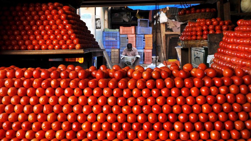 Минсельхоз предложил разрешить поставку томатов из Турции до 50 тысяч тонн